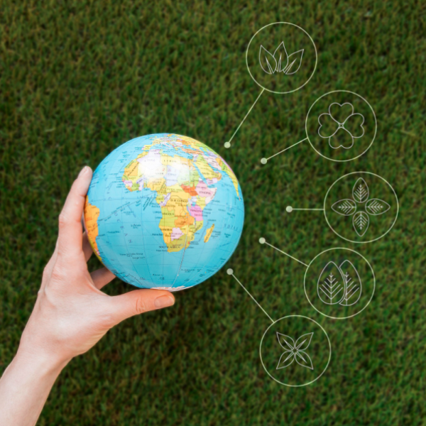 iso 50001 enerji yonetimi sistemi verimlilik ve surdurulebilirlik